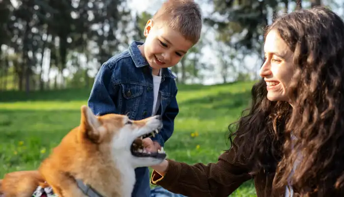 Benefits of Using a Human to Dog Translator Benefits of Using a Human to Dog Translator