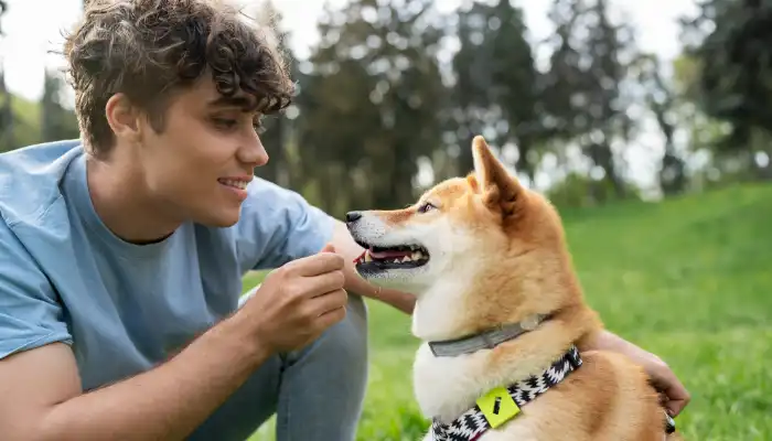 Common Mistakes in Dog Communication Common Mistakes in Dog Communication