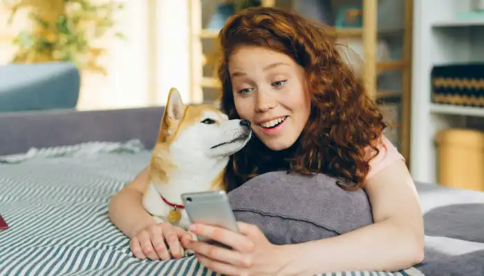How Do English to Dog Translators Work? How Do English to Dog Translators Work?