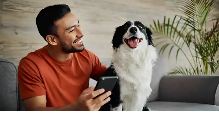 Best Dog Translator Apps in 2025 Best Dog Translator Apps in 2025
