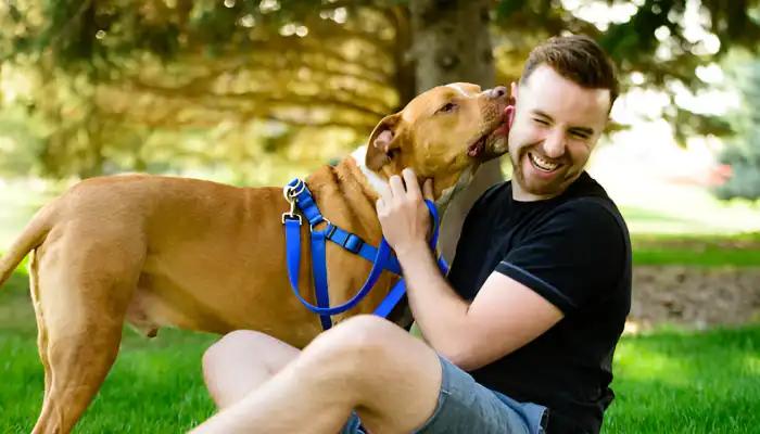 Common Mistakes in Dog Communication Common Mistakes in Dog Communication
