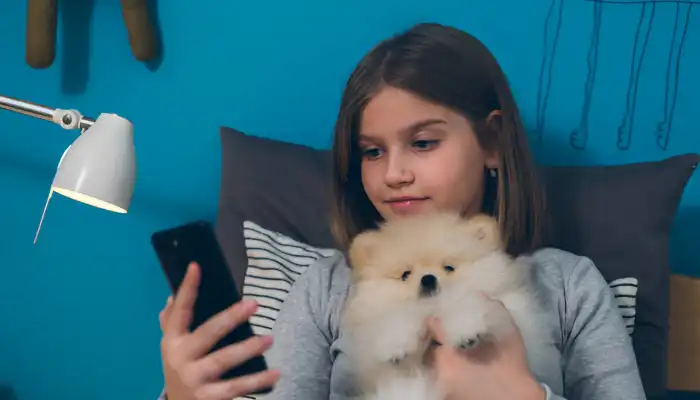 Dog Bark Translator: Understanding What It Is? Dog Bark Translator: Understanding What It Is?