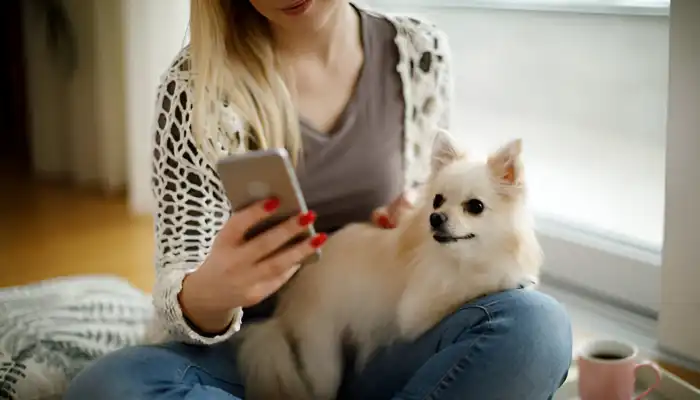 Pros and Cons of Using a Dog Language Translator Pros and Cons of Using a Dog Language Translator